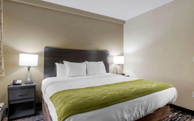 1 Bedroom Double Suite