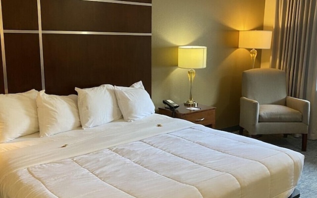 Premier room