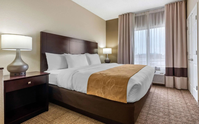 1 Bedroom Suite