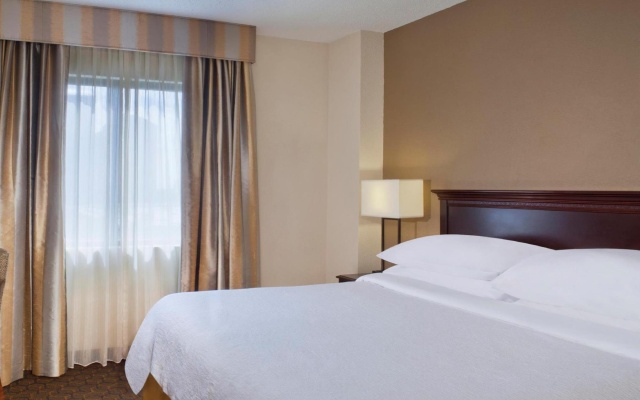 1 Bedroom Double Suite