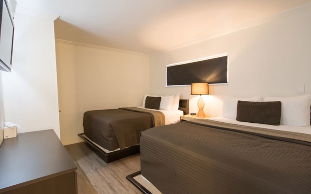 Comfort Suite