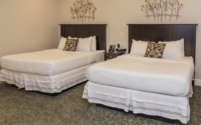 2 Bedrooms Double Suite