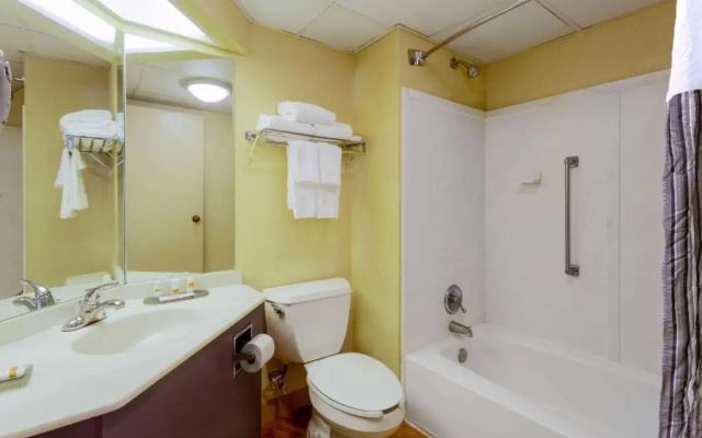 1 Bedroom Double Suite