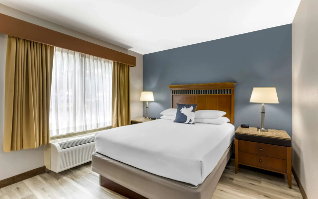 Double Suite