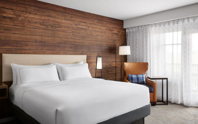 Standard room with mountain view
