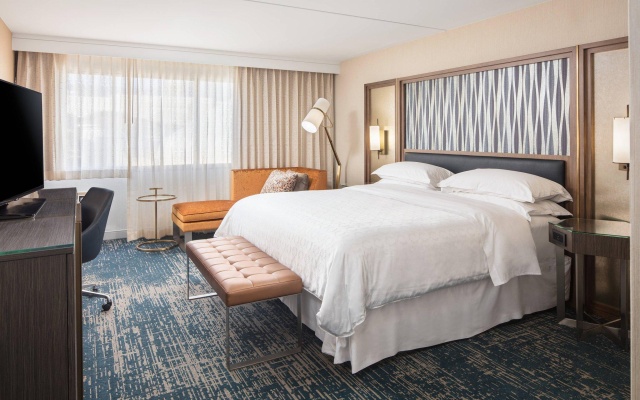 Standard Double Club room
