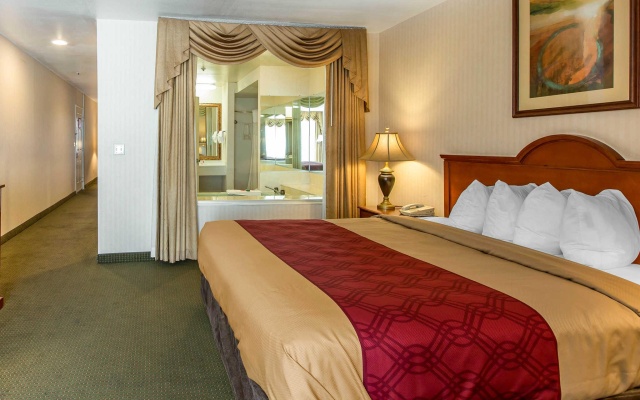 1 Bedroom Double Suite