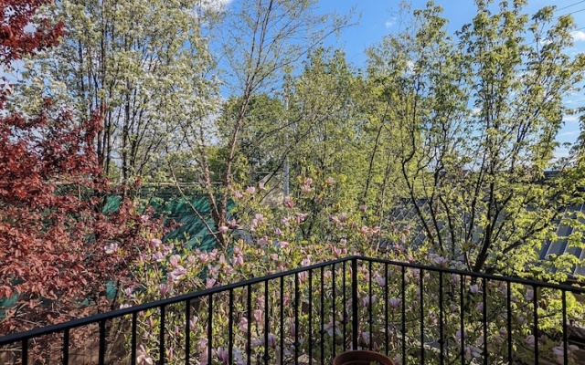 Standard Double room with balcony and with garden view