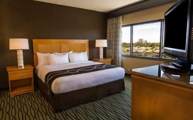 1 Bedroom Suite