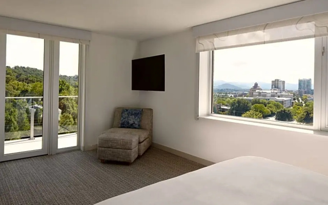 1 Bedroom Double Suite with city view