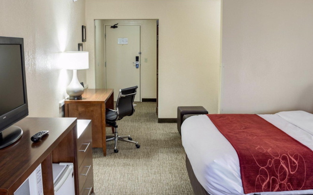 1 Bedroom Double Suite