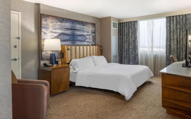 Studio Double Suite with city view