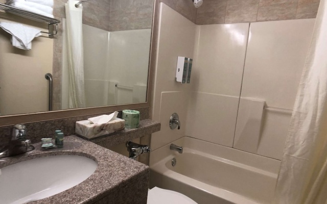 Standard Double Basement room