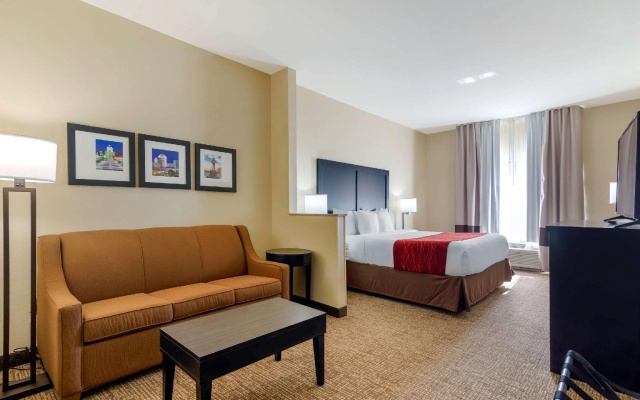1 Bedroom Suite