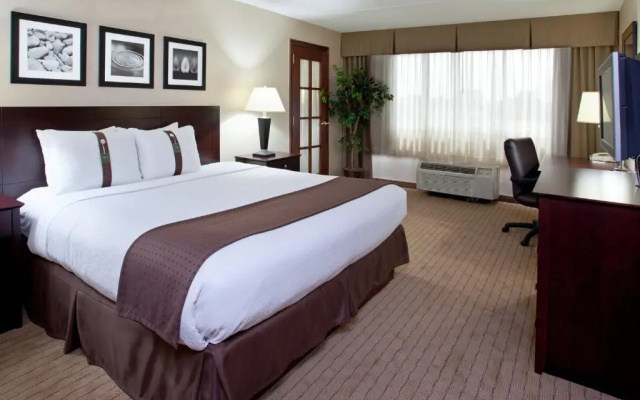 1 Bedroom Suite