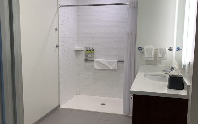 1 Bedroom Suite with view