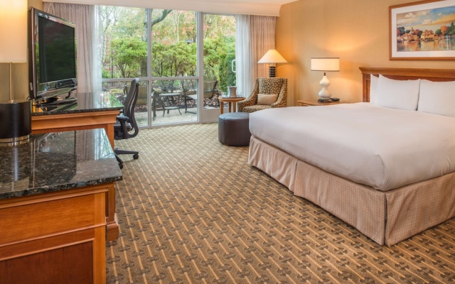 Deluxe Double room with view