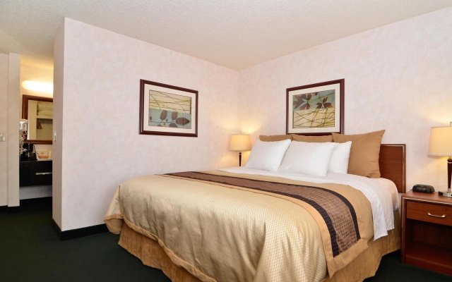 1 Bedroom Double Suite