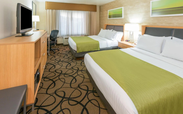 Twin Suite