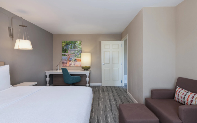 1 Bedroom Double Suite