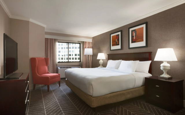 1 Bedroom Suite