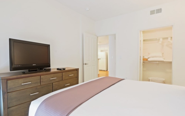 Luxury Apartment