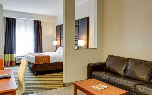 1 Bedroom Suite