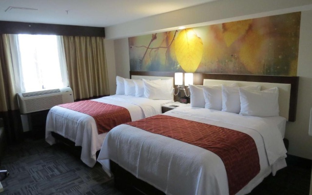 1 Bedroom Low Floor Twin Suite