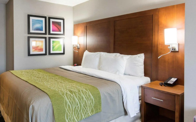 1 Bedroom Suite