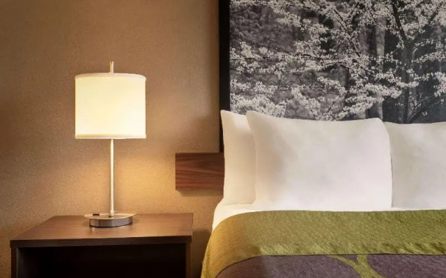 Twin Suite