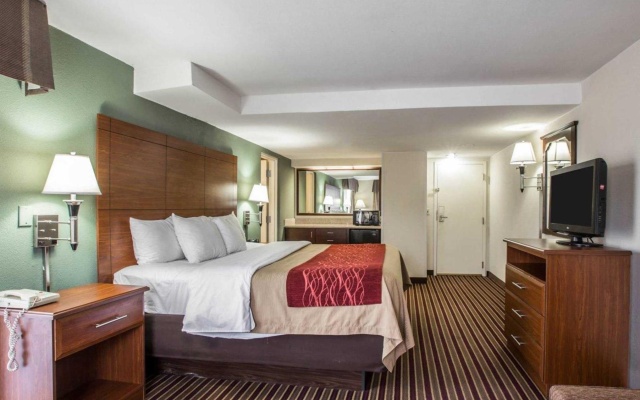 1 Bedroom Double Suite
