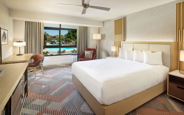 Double room with pool view