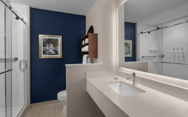 1 Bedroom Suite