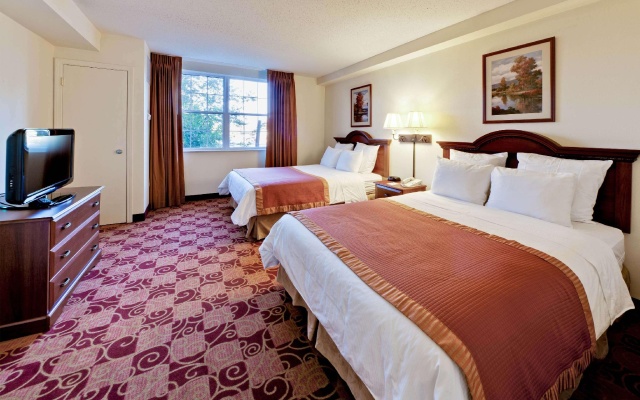 1 Bedroom Quadruple Suite