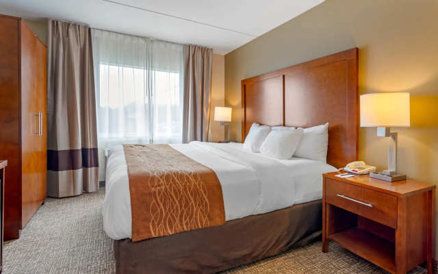 Double Suite