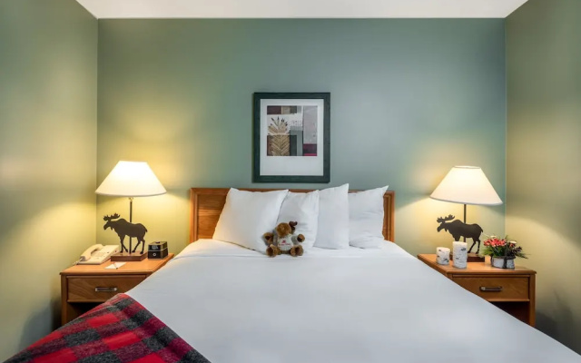 Double Suite