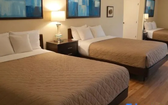 Standard Suite