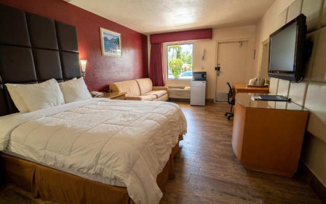 Deluxe Double Basement room