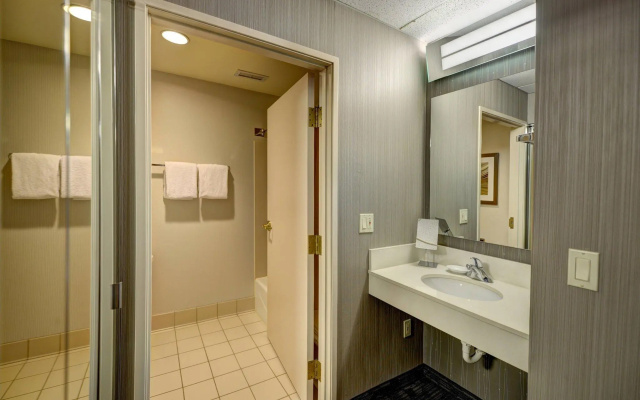 1 Bedroom Double Suite with courtyard view