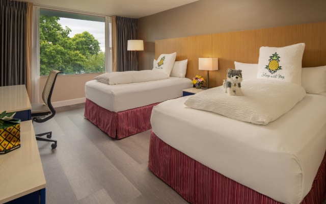 Standard Double room with river view