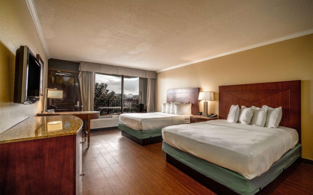 Standard Double Basement room with view