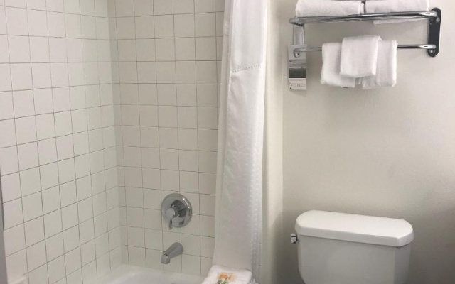 1 Bedroom Double Suite
