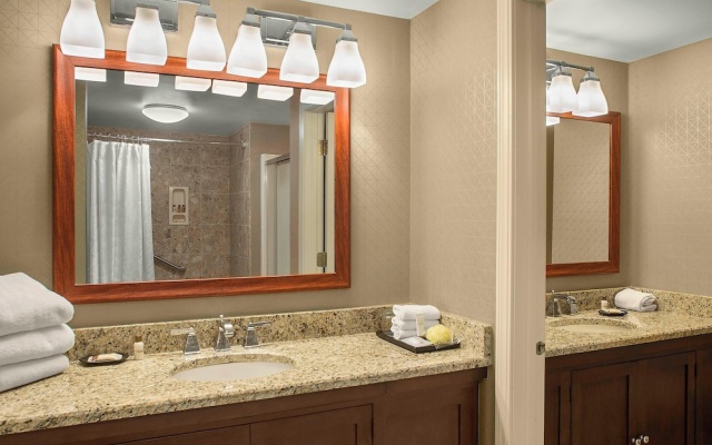 1 Bedroom Standard Penthouse room