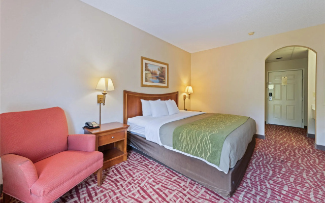 Standard Double room with river view