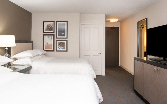 Premier Quadruple Club room