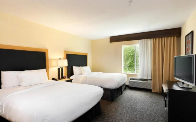 Quadruple Studio suite