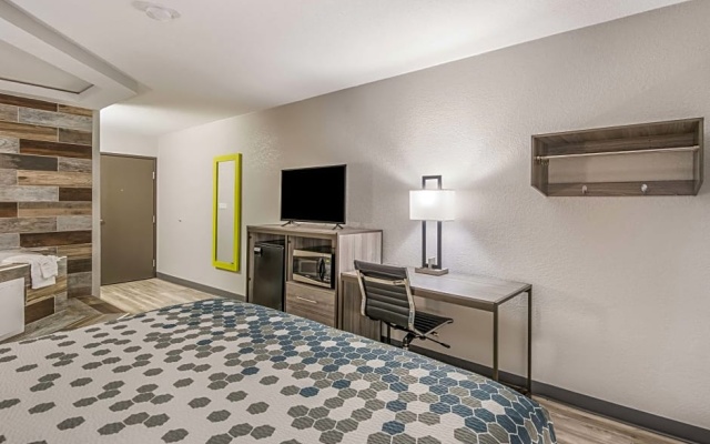Superior Suite