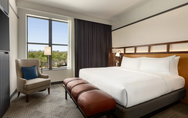 1 Bedroom Suite