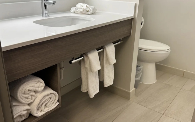 1 Bedroom Suite