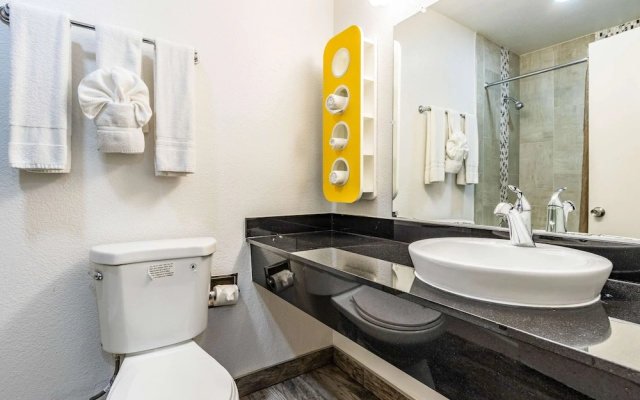 Standard Suite